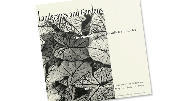 University of Delaware Landscapes & Gardens Postcard